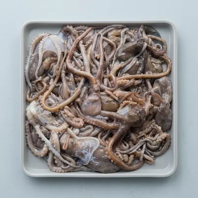 서해 선동 낙지