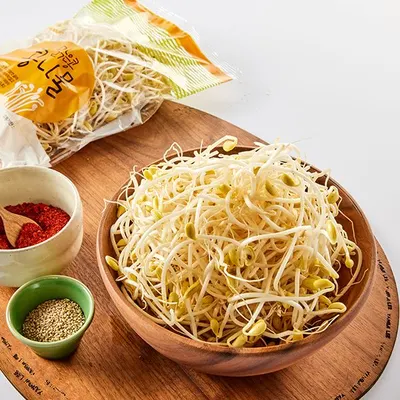 제주 맑은콩나물