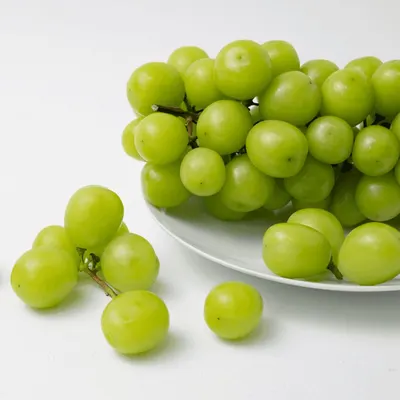하나의팜 샤인머스켓