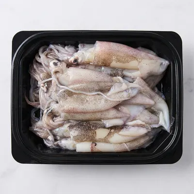 다원 통찜용 자연산 한치