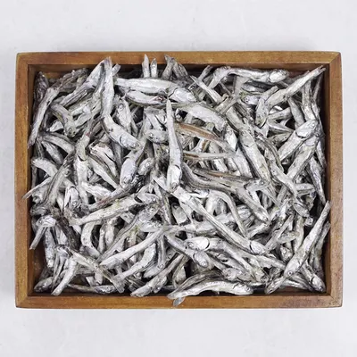 고주바 중멸치